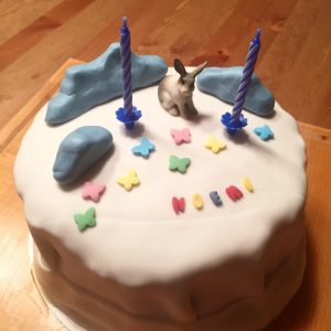 Mehr über den Artikel erfahren Geburtstagskuchen für Kinder, 6 einfache, pfiffige Rezepte