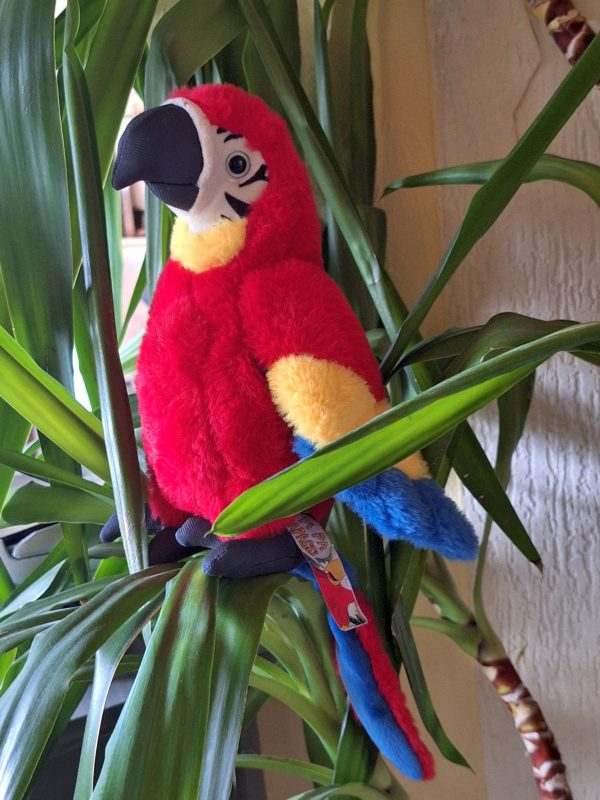 Pi Pa Papagei Kuscheltier – Bild 5