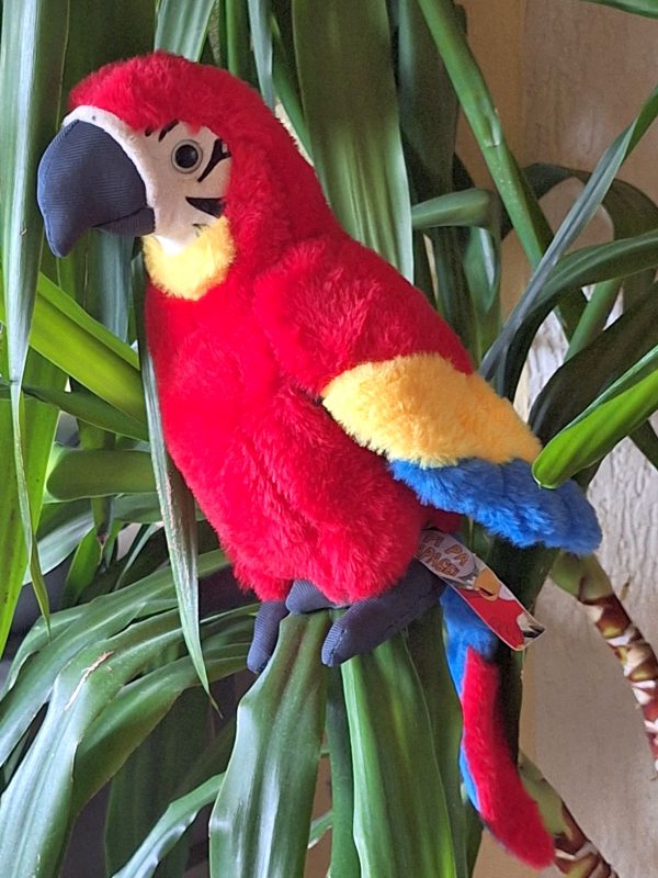Pi Pa Papagei Kuscheltier – Bild 3